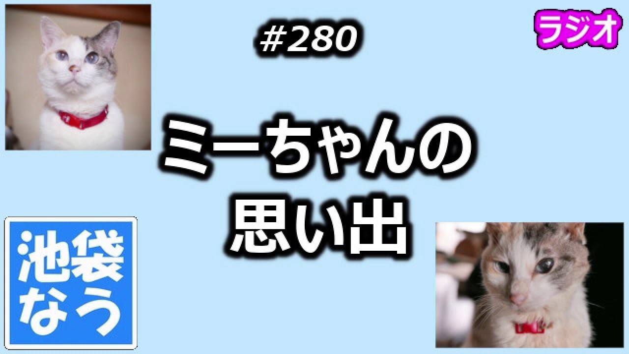 ミーちゃんの思い出 池袋なう Youtube ミーちゃんの思い出 池袋なう Youtube