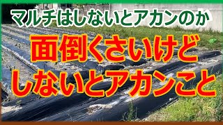 楽して儲けようとするとみんなで損をする　マルチをしないといけない理由