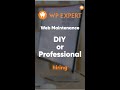 DIY vs Pro: Website Maintenance Showdown! 🛠️🚀