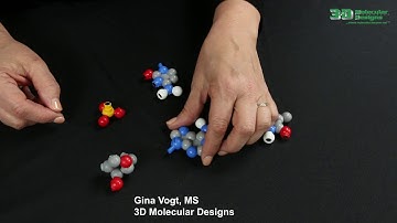 Dynamic DNA - Assembling Nucelotides