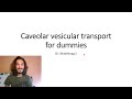 Caveolin vesicular transport for dummies