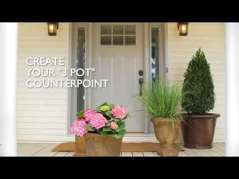 How to Spruce Up Your Front Porch