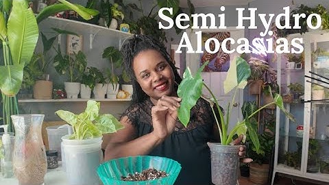 Semi Hydro Tutorial | Grow More Plants With Less Effort Part 1