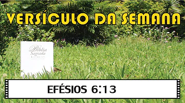 Porque a nossa luta não é contra o sangue e a carne?