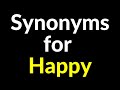 150 synonyms for happy word  happy  relatedsimilaranotherexample words