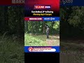 Teen Robbed, R**ed During Morning Jog in Tumpat