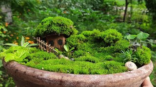 MINIATURE MOSS GARDEN || FREE OF COST MINIATURE GARDEN ||  FAIRY  GARDEN