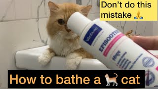 How to bath a cat || when you should bath your cat or avoid to give bath