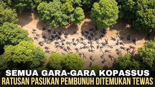 RENCANA ISRAEL TERBONGKAR !!! GARA-GARA KOPASSUS, RATUSAN PASUKAN SENYAP DITEMUKAN KOID
