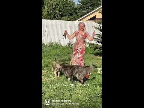 Ну как то так 😜 - YouTube
