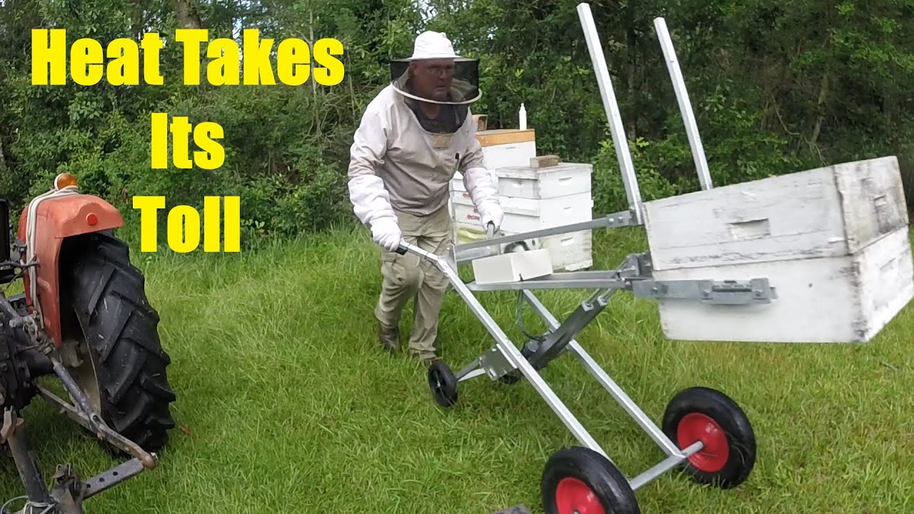 Honey Supers and Heat Exhaustion! YouTube