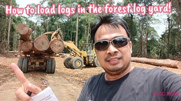 How to load logs in the forest log yard! #logging