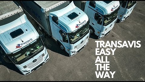 Meet TRANSAVIS - Logistics You Can Rely On