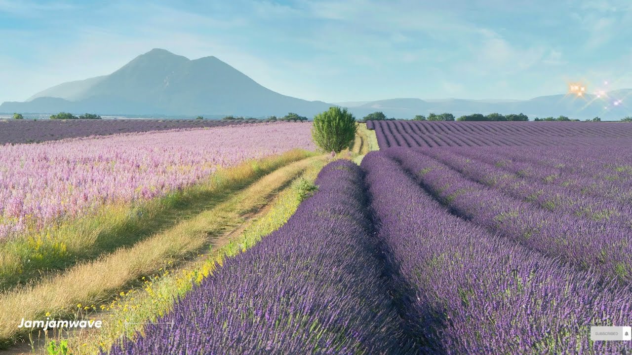 🎧 Уютный поп с весенним бризом 🌷 Spring Breeze & Good Vibes Описание: 🌸