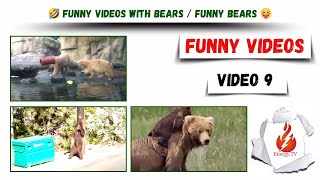 Funny videos / Funny videos with bears / funny bears