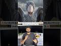 This Bird Hunts Baby Crocodiles! 😱🐊 | Incredible Shoebill #wildlife #nature #shorts