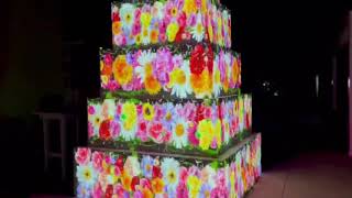 Joyful time taglio torta matrimonio