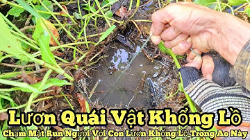 Câu lươn khủng_Chạm mặt..Run người với sức mạnh con lươn quái vật khổng lồ này_tập921//Giant eels