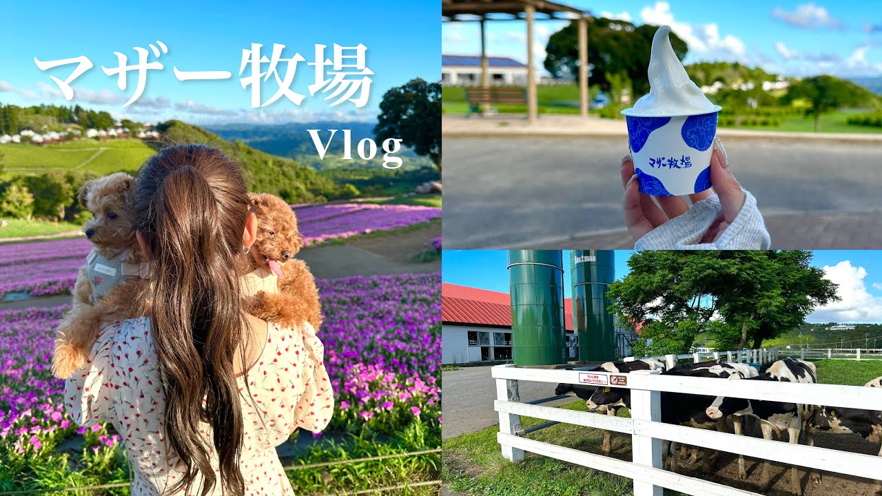 自分より100倍大きい動物達と友達になりたいチワプー