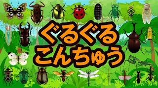 【昆虫の名前】子供がよろこぶ昆虫アニメぐるぐる回って楽しく覚える★かぶとむし・くわがた・せみ・だんごむし・たまむし・ばった・とんぼ・たがめ・かなぶん・てんとうむし★赤ちゃん向けの教育コンテンツ