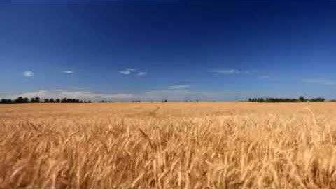 طفل بصوت جميل يقلد الشيخ عبد الباسط عبد الصمد من سورة الحج (26-32)