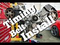 Audi B5 S4 2.7t Timing Belt, Water-Pump and Thermostat Install