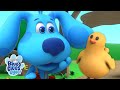 Cute Chicken Song 🐣 in Arabic + English! | Nursery Rhymes &amp; Kids Songs | Blue’s Clues &amp; You!