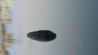 DSCF2135