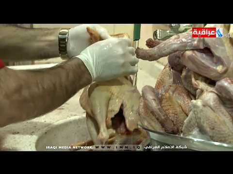 فنجان الصباح الديك الكردي اكلة مشهورة في دهوك