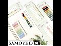 Gambar Page Markers / Flags / Index / Sticky Notes for Binder Note - Samoyed - VU2 dari ATK 123 Kota Bandung 13 Tokopedia