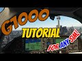 REAL COMMERCIAL PILOT TEACHES G1000  |  WORKS FOR ANY SIM!