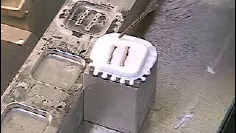 Learn the Basics of Face Down Cryoembedding Technique