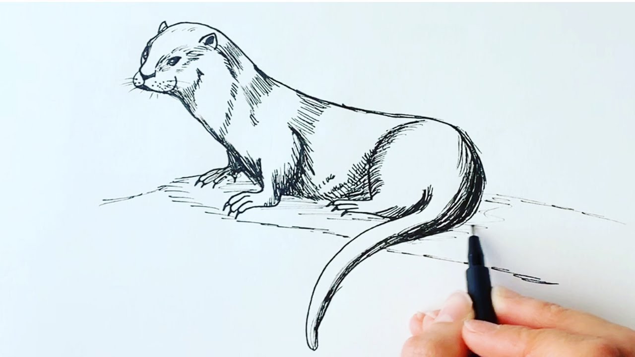 Featured image of post How To Draw An Otter Standing Up If the person is standing still the rectangle should be perfectly up and down