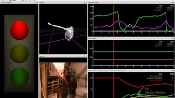 Collection Playback- Visual Biofeedback in The MotionMonitor xGen