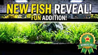 Some New Fish Finally Added!