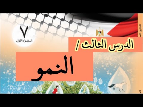 فيديو: حبوب ذرة. الخصائص وظروف النمو