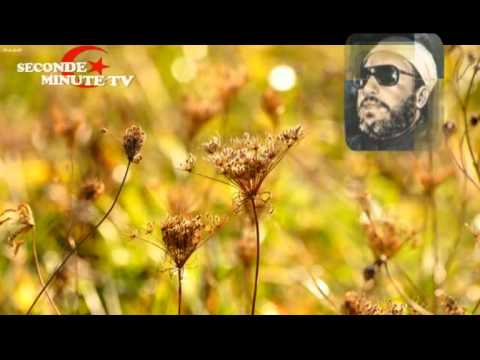 الشيخ كشك زيد بن الحارثة دروس الوفاء تقوى الله