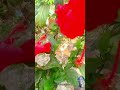 अति सुन्दर प्रकृति ❤️❤️❤️☺️🙏