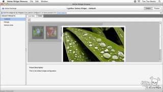 Ten Ton Dreamweaver CS5 New Features: Widget Browser!