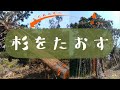 【山開拓 #9】45cmの杉を倒してみた | 電柱2本分くらいの太さ… | 安全・確実に倒す方法