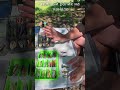 Лучшие воблеры на форель. Умная коробка на любой случай. Сначала ОНИ !!! #shorts #fishing #trout