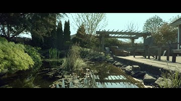 GoPro HERO4 Cinematic Test Shots (With Protune On)