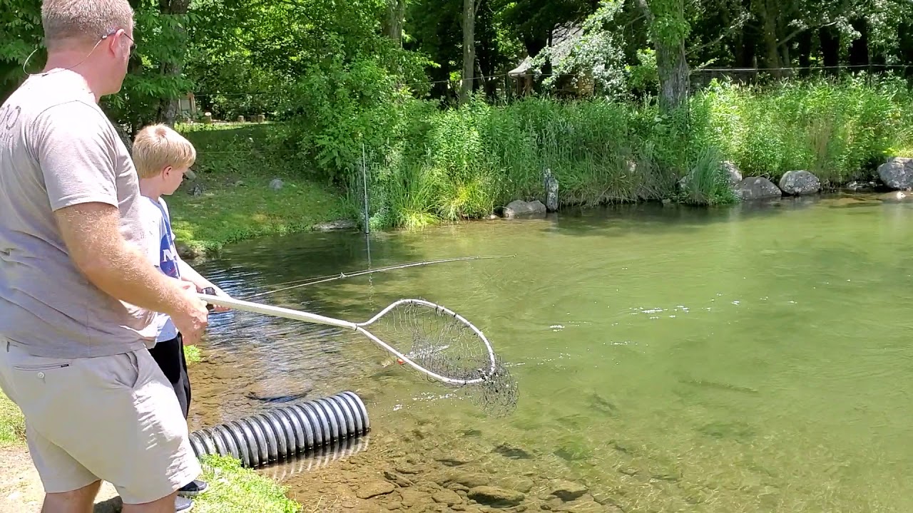 Preston's fish YouTube