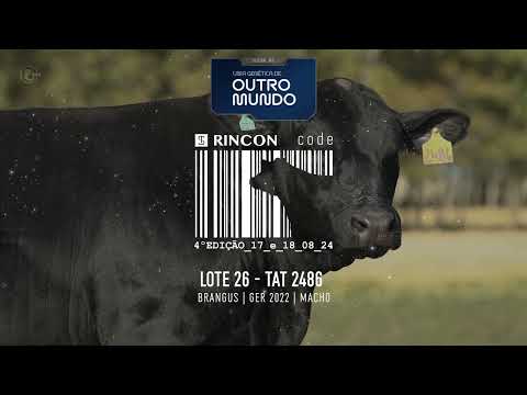 LOTE 26   TAT 2486 Brangus