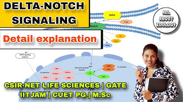 DELTA - NOTCH SIGNALING PATHWAY || CSIR NET LIFE SCIENCES || GATE || M.Sc Classes