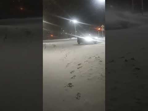 Жуковка в плену метели