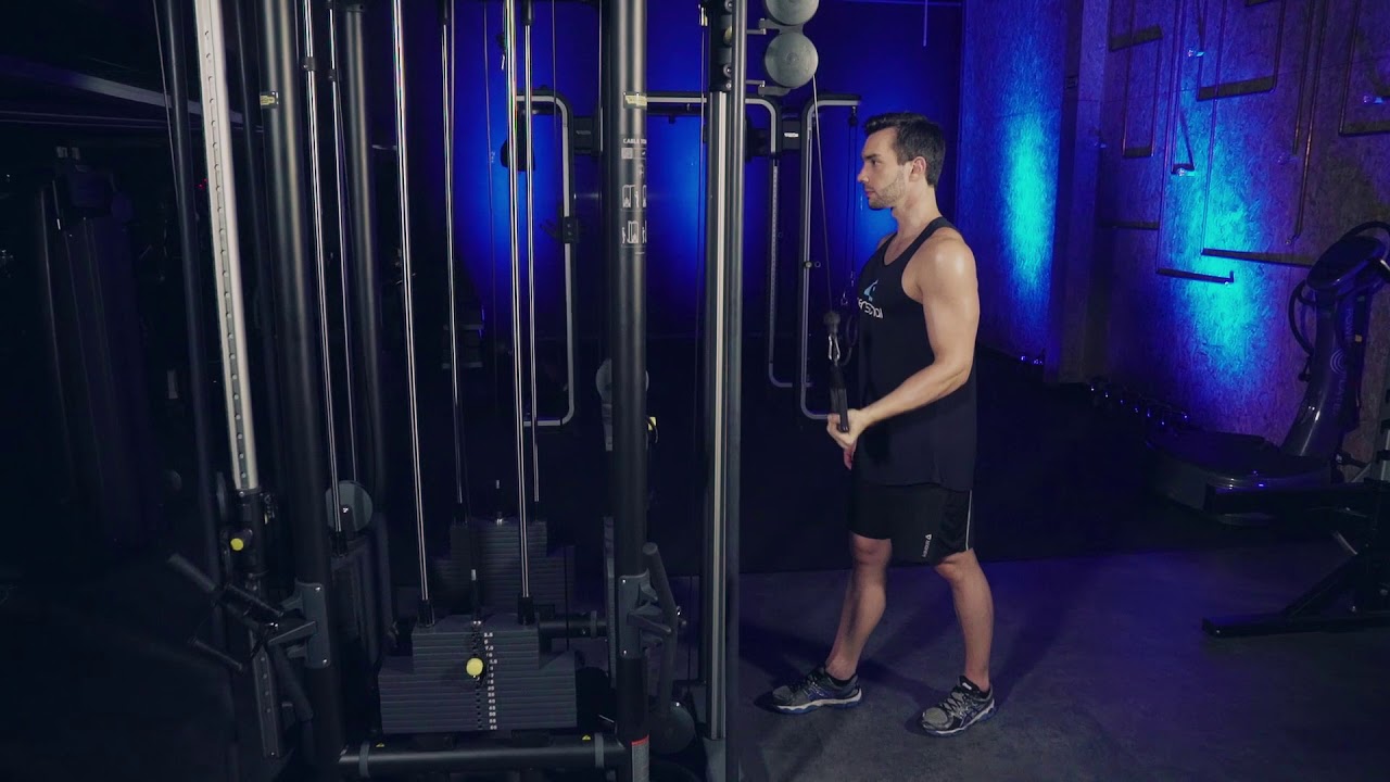 TRÍCEPS UNILATERAL SUPINADO NA POLIA YouTube