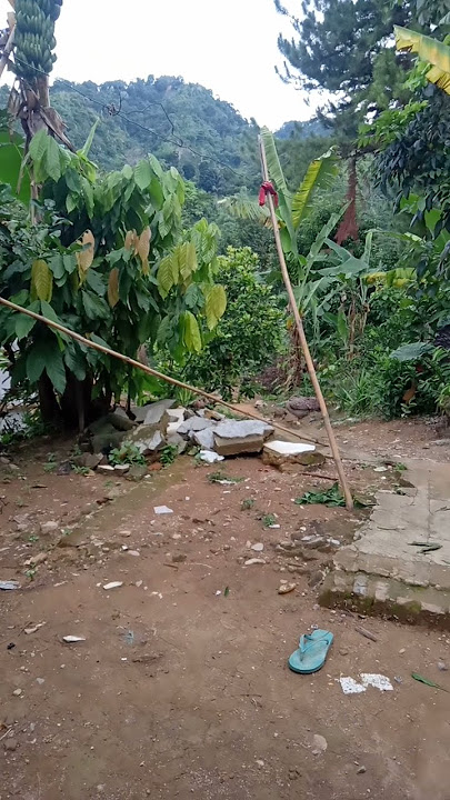 #suasanadiperkmpungan #musik #instrumental #musikyangmahal