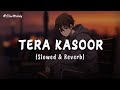 Tera Kasoor Slowed Reverb Vishal Mishra Payal Dev Slow Melody Tera Kasoor Slowed Reverb Vishal Mishra Payal Dev Slow Melody