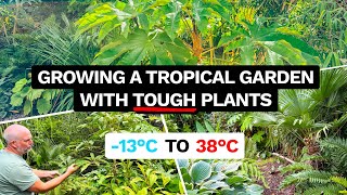 Shane Bilson’s Incredible Jungle Stream Garden - Exotic Plants & Design Ideas